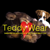 TeddyWearBranding black bgrd