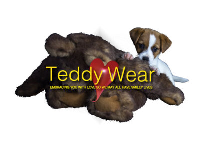 TeddyWear Branding