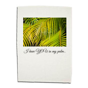 I have you in my palm